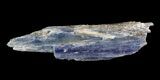 Vibrant Blue Kyanite Crystal - Brazil #56943-1